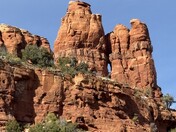 Coconino National Park