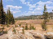 Yosemite National Park 