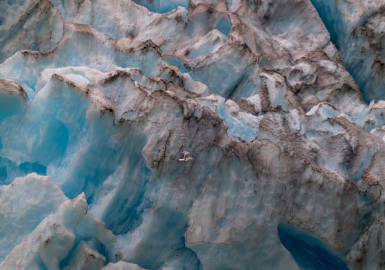 Kenai Fjords National Park