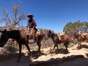 Grand Canyon National Park