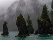 Kenai Fjords National Park