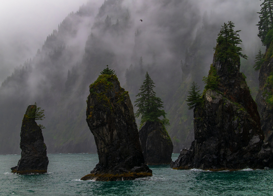 Kenai Fjords National Park