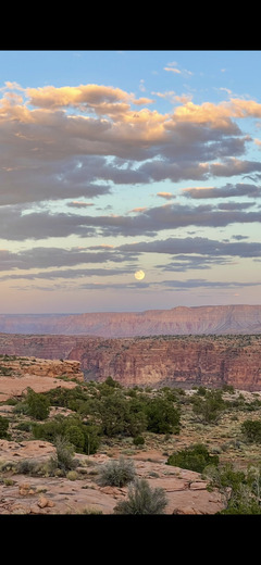 Grand Canyon National Park 