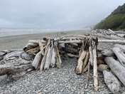 Olympic National Park (Kalaloch)