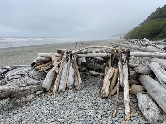 Olympic National Park (Kalaloch)