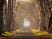 Point Reyes National Seashore