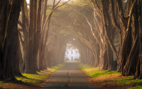 Point Reyes National Seashore
