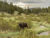 Land Between the Lakes National Recreation Area