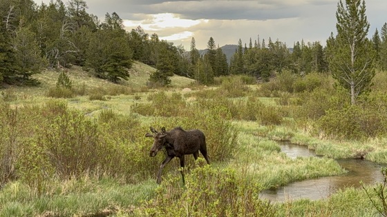 Land Between the Lakes National Recreation Area
