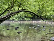 Great Smoky Mountains National Park