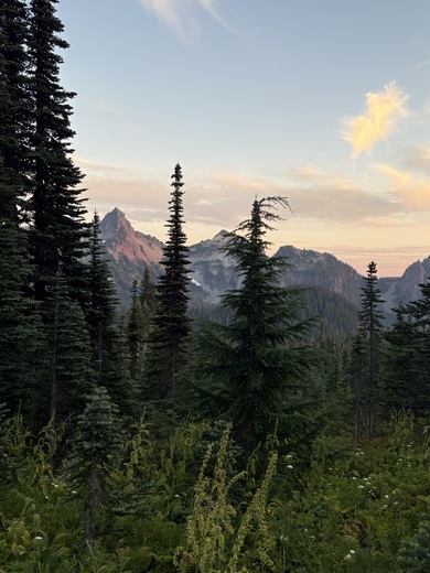 Olympic National Park