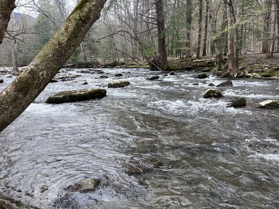GSMNP