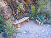 Big Bend National Park