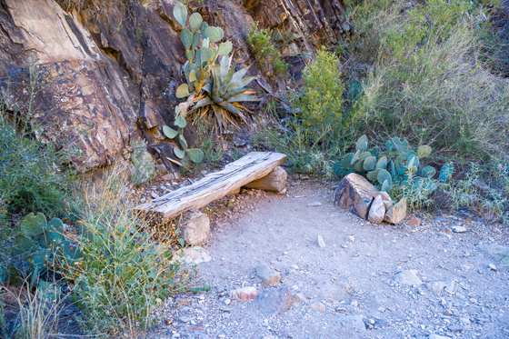 Big Bend National Park