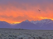 Grand Teton National Park