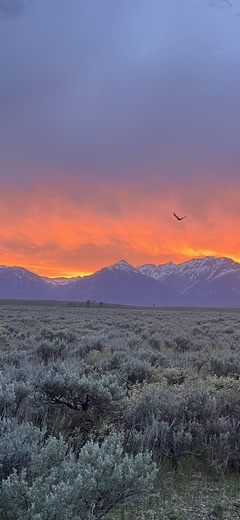 Grand Teton National Park