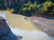 Big Bend National Park