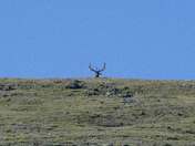 Rocky Mountain National Park