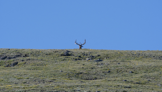 Rocky Mountain National Park