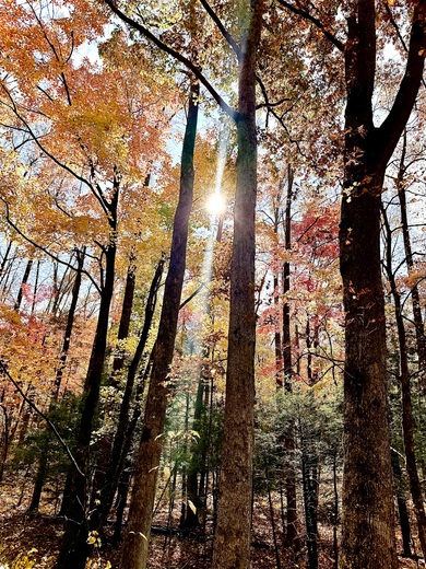 Great Smoky Mountain National Park