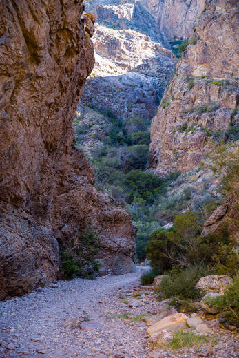 Big Bend National Park