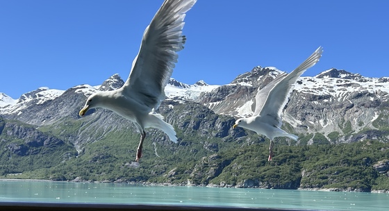 Glacier Bay National Park 