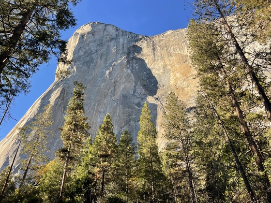 Yosemite National Park