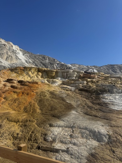 Yellowstone National Park 