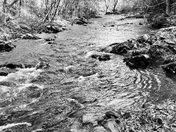 Great Smoky Mountains