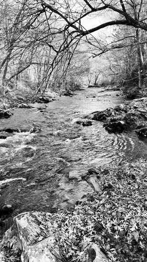 Great Smoky Mountains