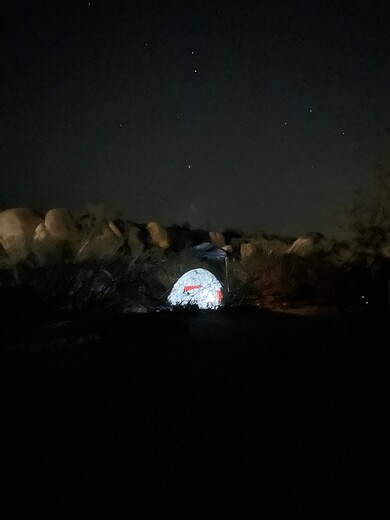 Joshua Tree National Park