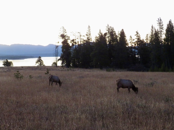 Yellowstone National Park 