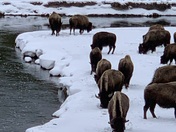 Yellowstone National Park