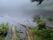 Mt. Hood National Forest