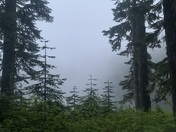 Mt. Hood National Forest