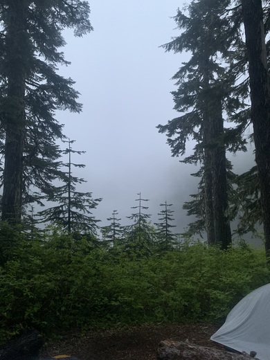 Mt. Hood National Forest