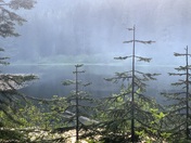 Mt. Hood National Forest