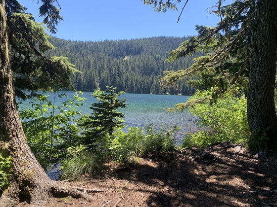 Serene Lake