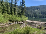 Mt. Hood National Forest