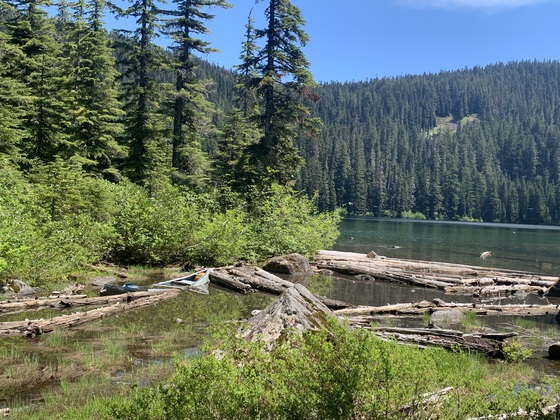 Mt. Hood National Forest