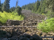 Mt. Hood National Forest