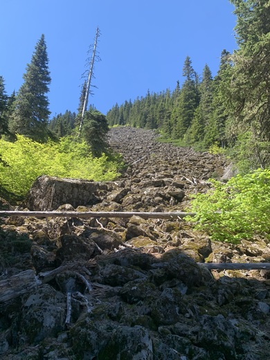 Mt. Hood National Forest