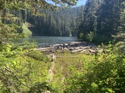 Mt. Hood National Forest