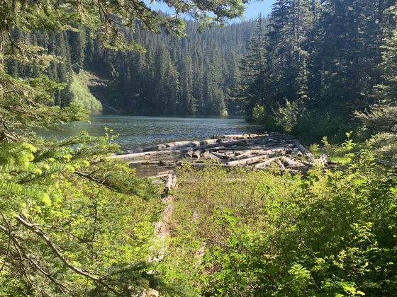 Mt. Hood National Forest