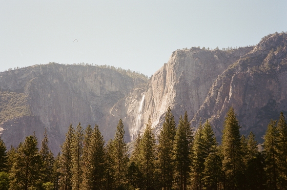 Yosemite National Park