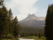 Yosemite National Park