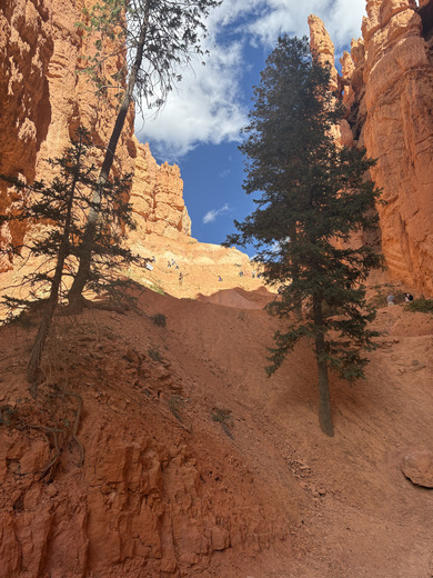 Bryce National Park