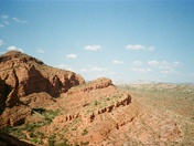 Red Cliffs National Conservation Area 