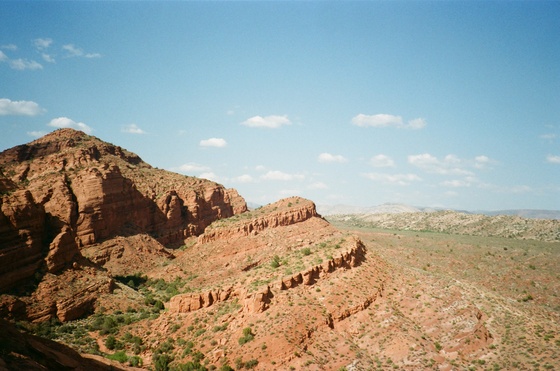 Red Cliffs National Conservation Area 