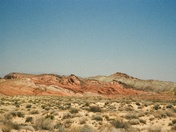 Red Cliffs National Conservation Area 